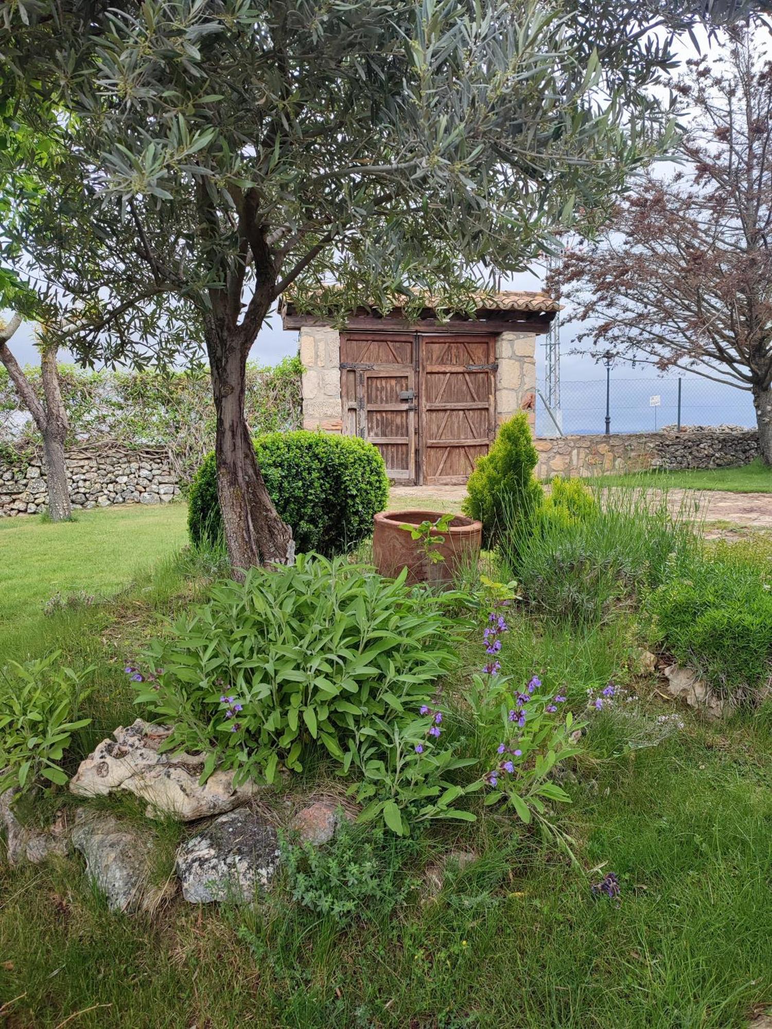 Вилла Casa Rural La Galiana Альгора Экстерьер фото