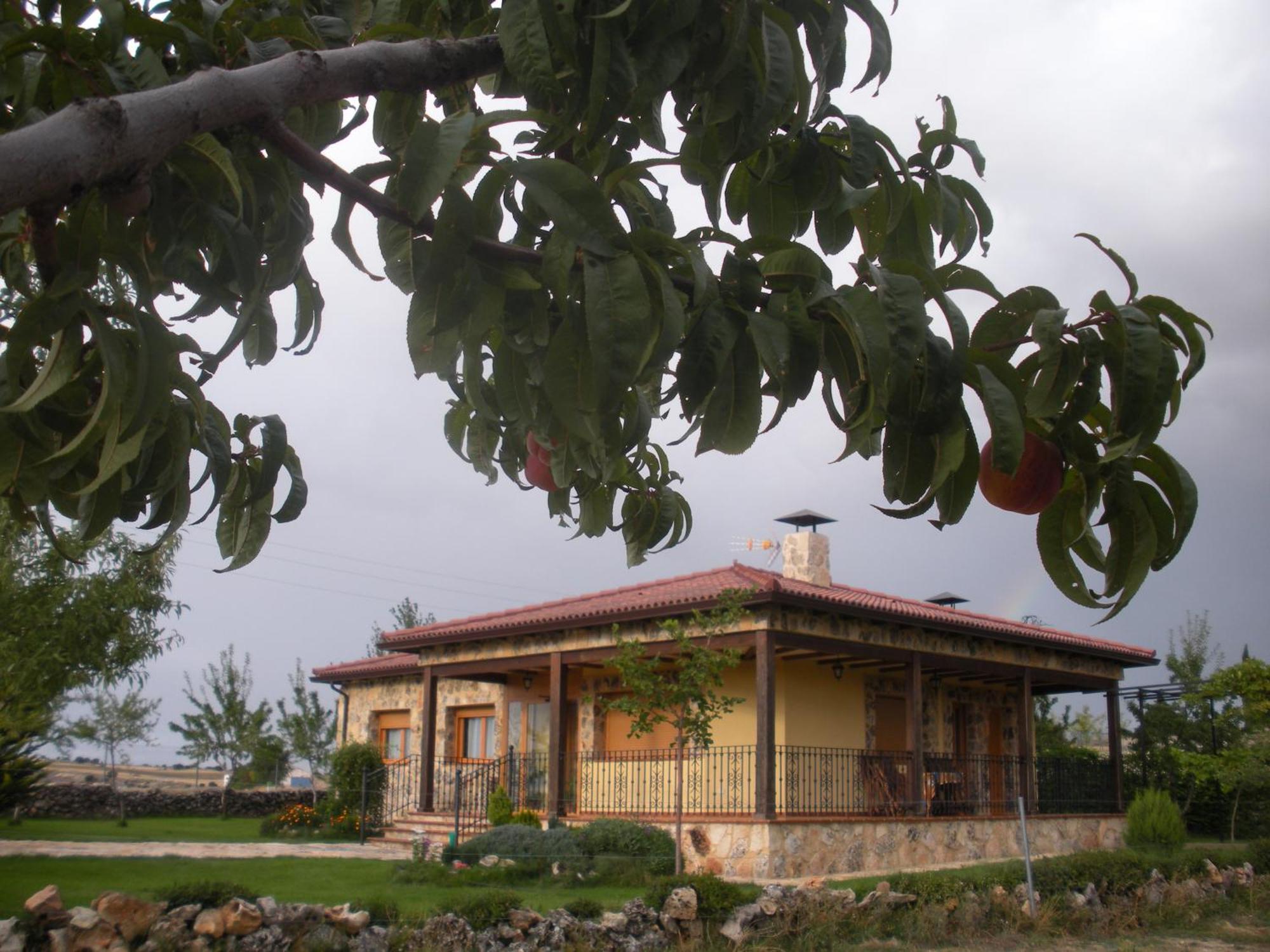 Вилла Casa Rural La Galiana Альгора Экстерьер фото